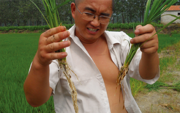 全水溶水溶肥
